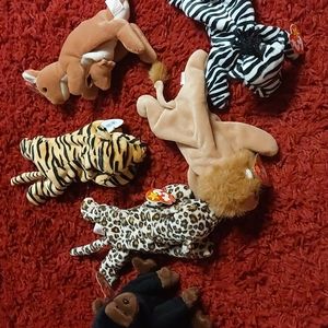 6 Safari Beanie Babies